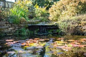 Photo 42- click for photo gallery